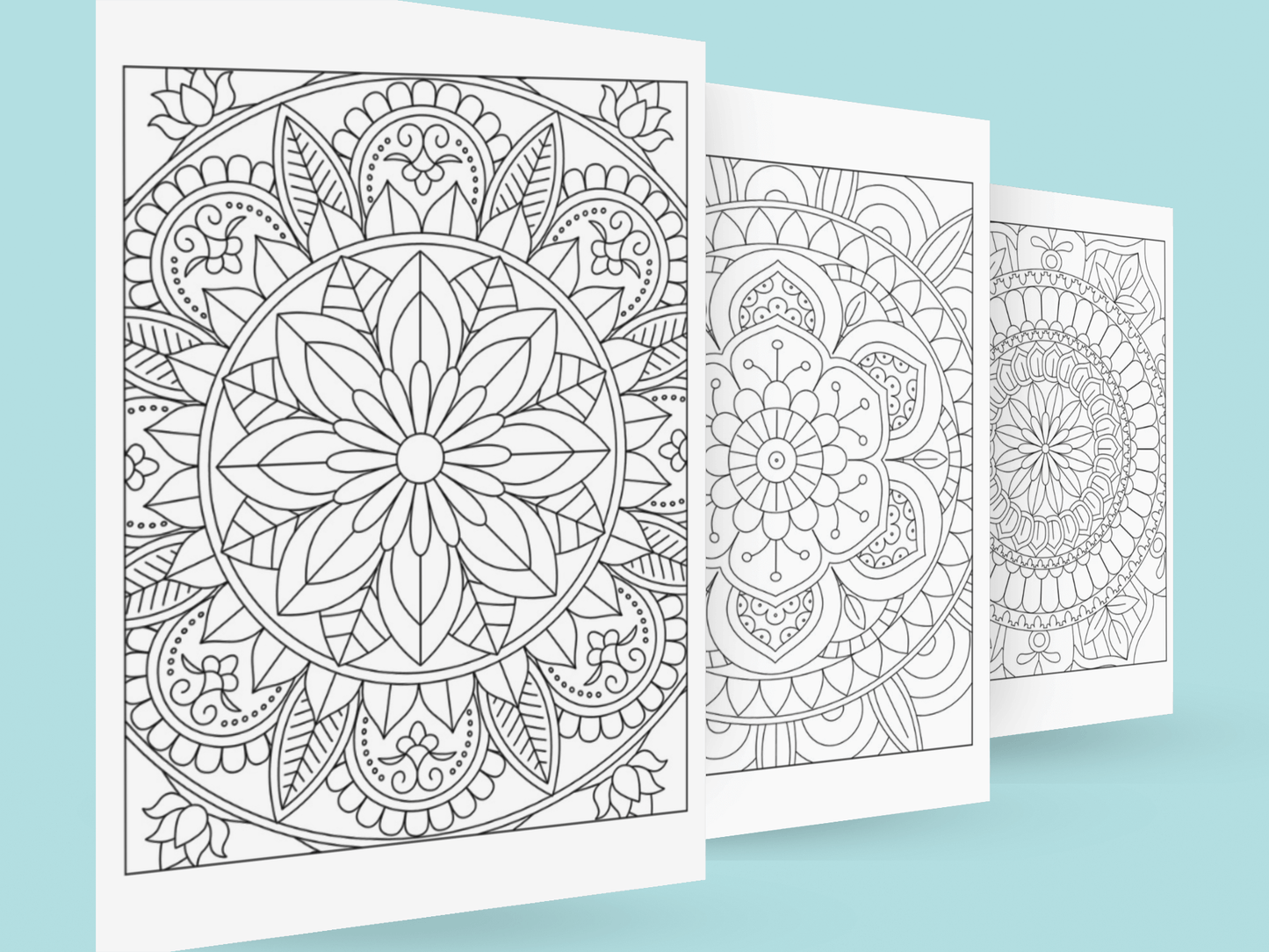 Online Training Course: Create Your Own Coloring Books (create, edit, upload and selfpublish) +30,000 PLR Coloring Designs