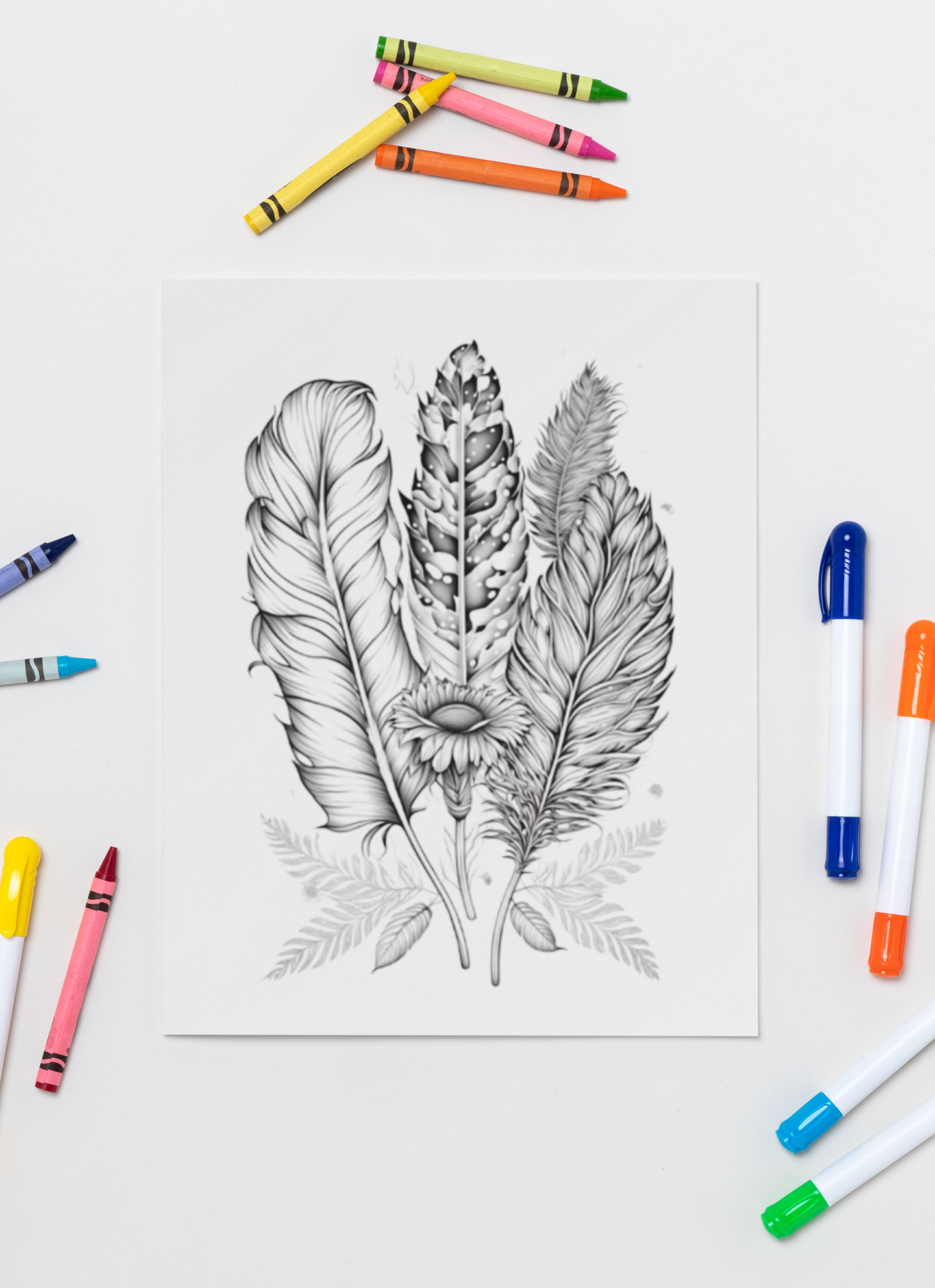 Feathers Coloring Book with a gift of 8555+ Coloring Printable Designs
